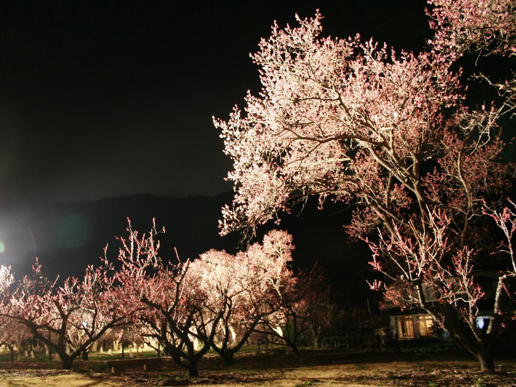 Hotel Uzuraya 치쿠세이 외부 사진